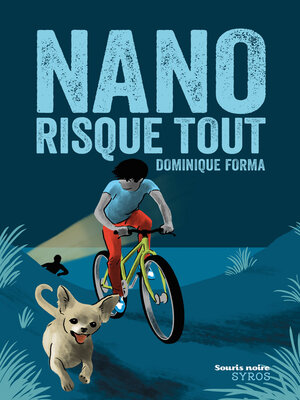 cover image of Nano risque tout